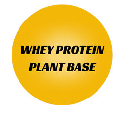 Collection image for: Plant Base