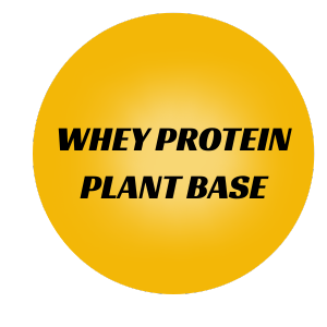 Plant Base