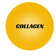 Collection image for: Collagen