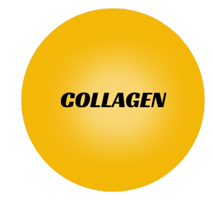 Collagen