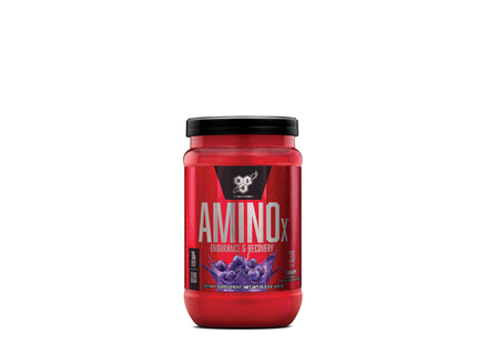AMINO X ENDURANCE - BSN (30 Serve) - Anywhey Supplement Store