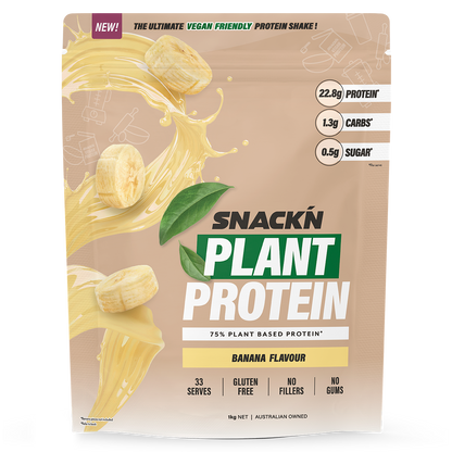 PLANT PROTEIN - SNACKN